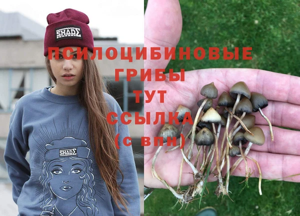 мефедрон мука Нефтекумск