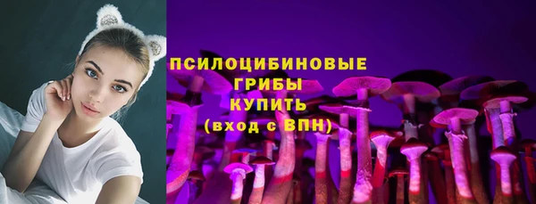 соль ск Нефтегорск
