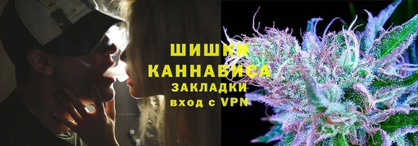сатива Алексин